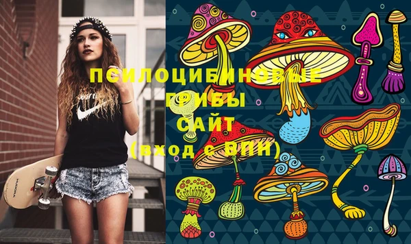 гашик Абдулино