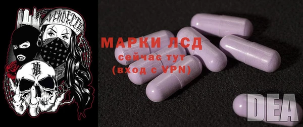 2c-b Бикин
